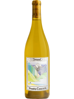 Iruai 'Shasta Cascade' White 2022