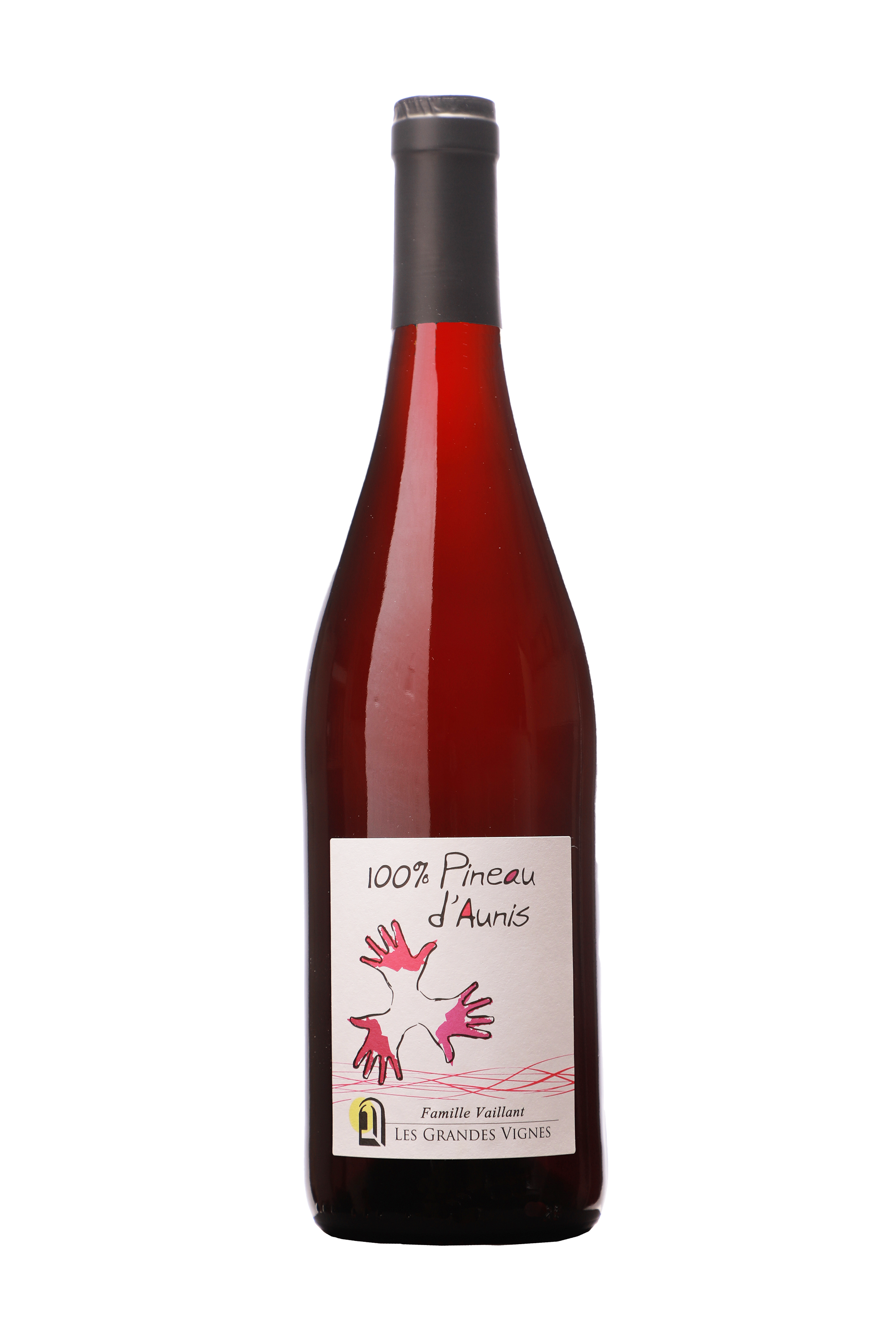 Domaine Les Grandes Vignes Pineau d'Aunis 2022