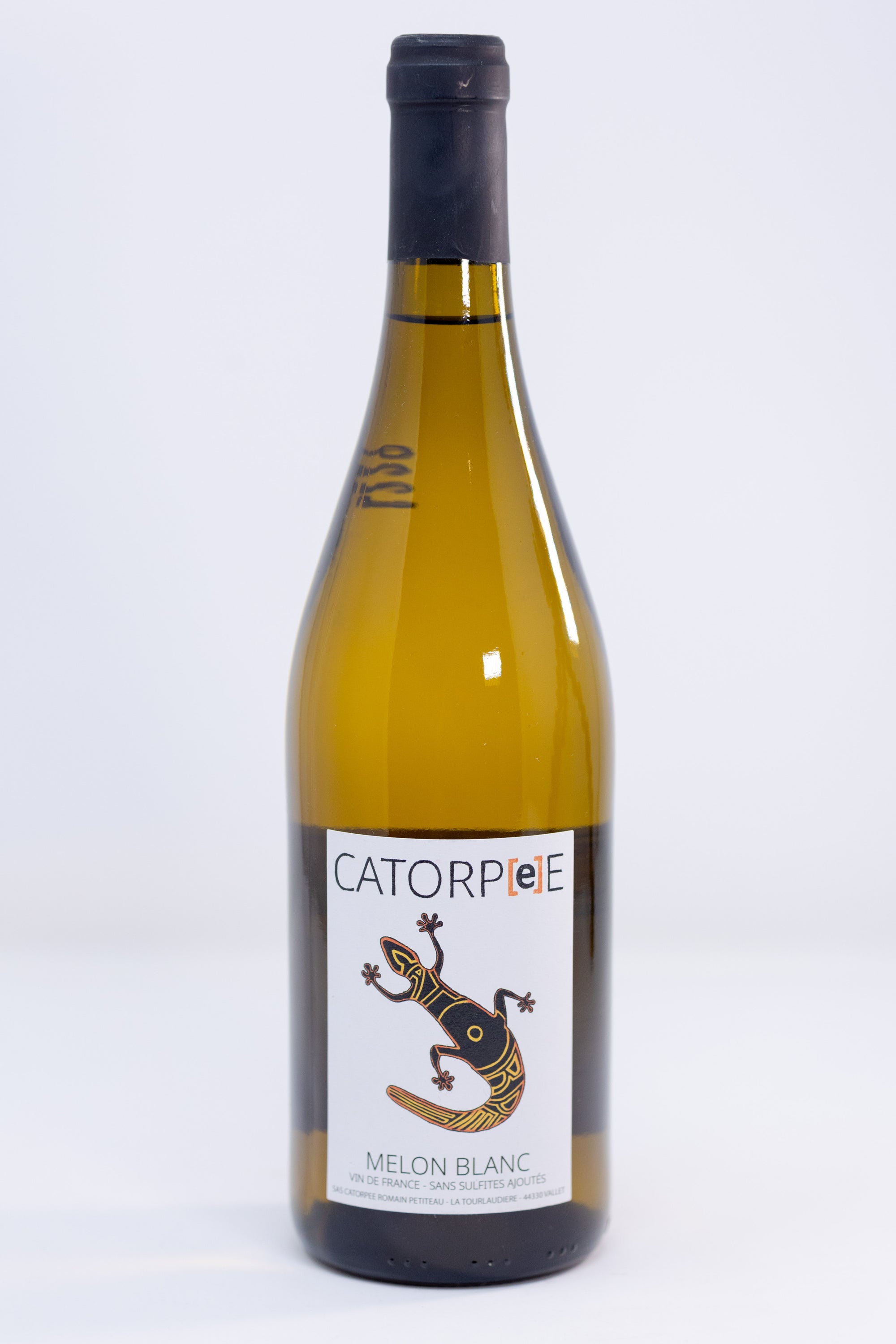 Tourlaudiere ‘Catorpee’ Melon Blanc