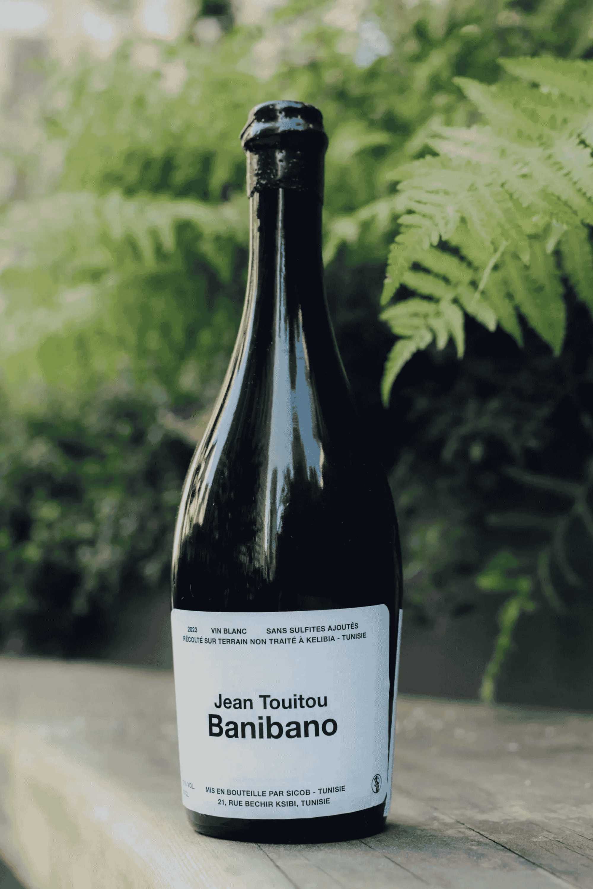 Jean Touitou 'Banibano' Tunisia White 2024